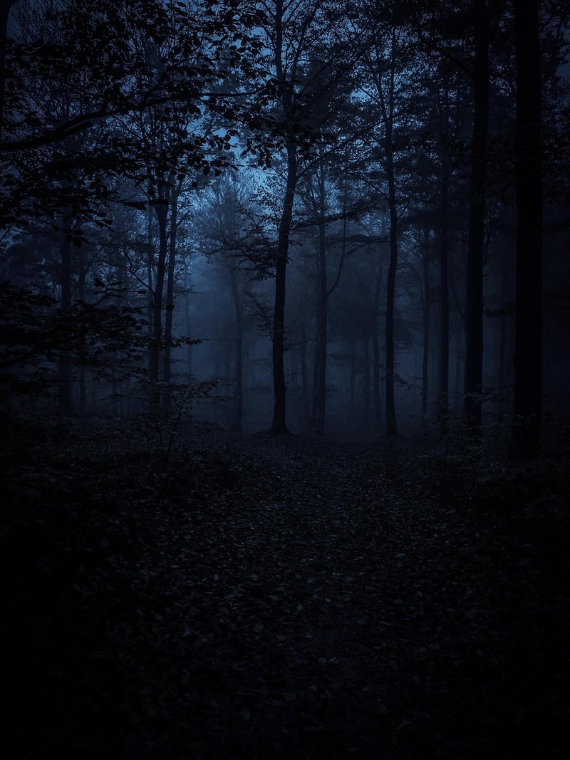 Unknown Territories