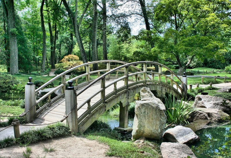 Magical Pathway